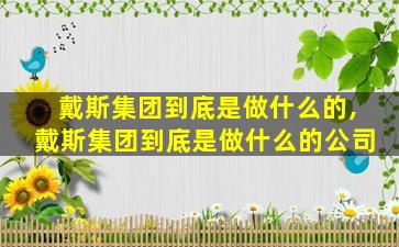 戴斯集团到底是做什么的,戴斯集团到底是做什么的公司