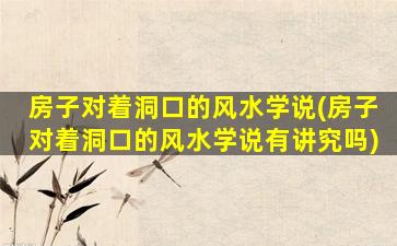 房子对着洞口的风水学说(房子对着洞口的风水学说有讲究吗)