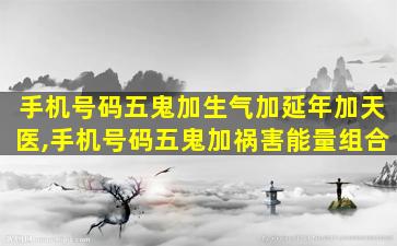 手机号码五鬼加生气加延年加天医,手机号码五鬼加祸害能量组合