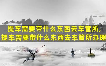 提车需要带什么东西去车管所,提车需要带什么东西去车管所办理