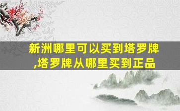 新洲哪里可以买到塔罗牌,塔罗牌从哪里买到正品