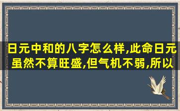 日元中和的八字怎么样,此命日元虽然不算旺盛,但气机不弱,所以日元较为中和
