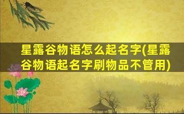 星露谷物语怎么起名字(星露谷物语起名字刷物品不管用)