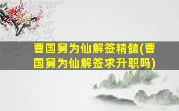曹国舅为仙解签精髓(曹国舅为仙解签求升职吗)