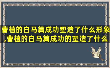 曹植的白马篇成功塑造了什么形象,曹植的白马篇成功的塑造了什么的形象对后世影响深远