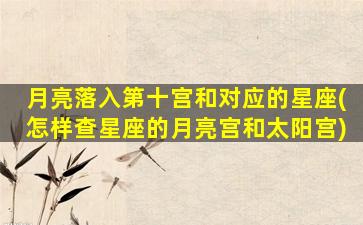 月亮落入第十宫和对应的星座(怎样查星座的月亮宫和太阳宫)