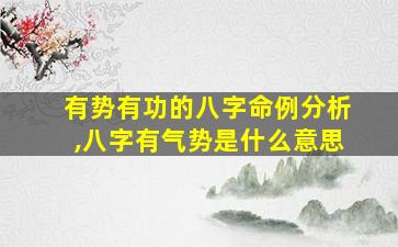 有势有功的八字命例分析,八字有气势是什么意思