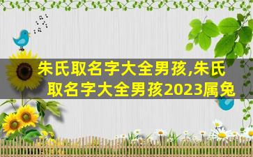 朱氏取名字大全男孩,朱氏取名字大全男孩2023属兔