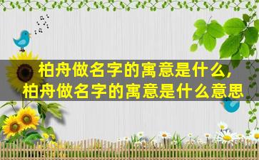 柏舟做名字的寓意是什么,柏舟做名字的寓意是什么意思