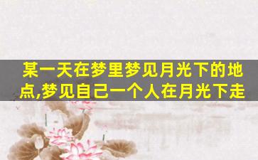某一天在梦里梦见月光下的地点,梦见自己一个人在月光下走