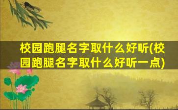 校园跑腿名字取什么好听(校园跑腿名字取什么好听一点)