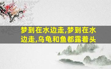 梦到在水边走,梦到在水边走,乌龟和鱼都露着头
