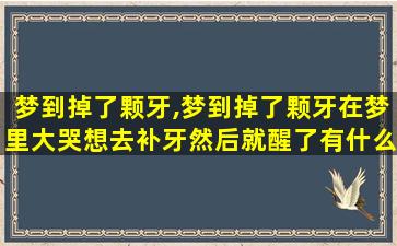梦到掉了颗牙,梦到掉了颗牙在梦里大哭想去补牙然后就醒了有什么预兆
