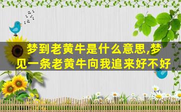 梦到老黄牛是什么意思,梦见一条老黄牛向我追来好不好