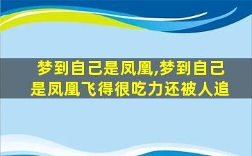 梦到自己是凤凰,梦到自己是凤凰飞得很吃力还被人追