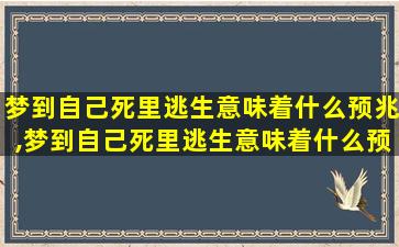 梦到自己死里逃生意味着什么预兆,梦到自己死里逃生意味着什么预兆解梦