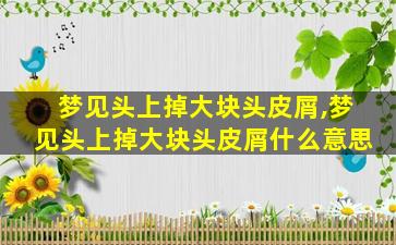 梦见头上掉大块头皮屑,梦见头上掉大块头皮屑什么意思