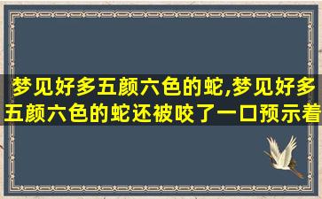 梦见好多五颜六色的蛇,梦见好多五颜六色的蛇还被咬了一口预示着什么