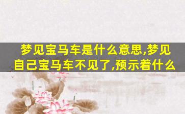 梦见宝马车是什么意思,梦见自己宝马车不见了,预示着什么