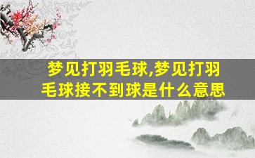 梦见打羽毛球,梦见打羽毛球接不到球是什么意思