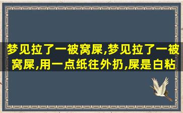 梦见拉了一被窝屎,梦见拉了一被窝屎,用一点纸往外扔,屎是白粘液