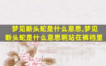 梦见断头蛇是什么意思,梦见断头蛇是什么意思啊站在裤裆里