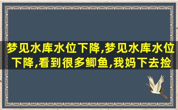 梦见水库水位下降,梦见水库水位下降,看到很多鲫鱼,我妈下去捡了两条鱼