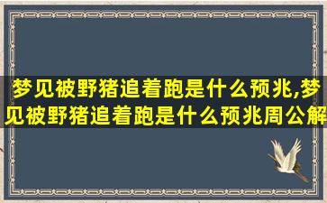 梦见被野猪追着跑是什么预兆,梦见被野猪追着跑是什么预兆周公解梦