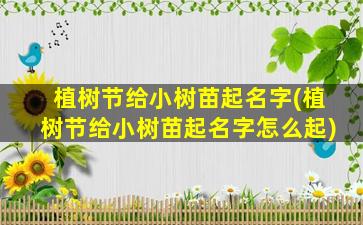 植树节给小树苗起名字(植树节给小树苗起名字怎么起)