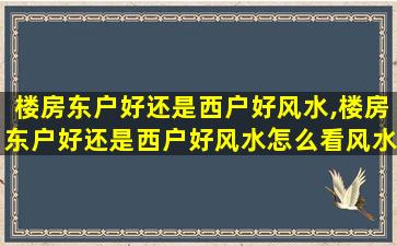 楼房东户好还是西户好风水,楼房东户好还是西户好风水怎么看风水选择房子