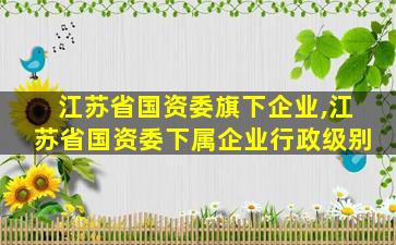江苏省国资委旗下企业,江苏省国资委下属企业行政级别