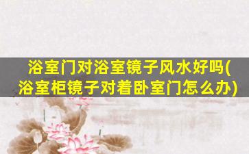浴室门对浴室镜子风水好吗(浴室柜镜子对着卧室门怎么办)