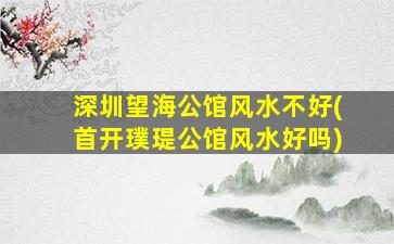 深圳望海公馆风水不好(首开璞瑅公馆风水好吗)