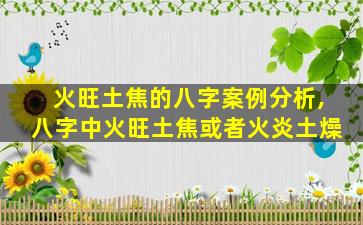 火旺土焦的八字案例分析,八字中火旺土焦或者火炎土燥