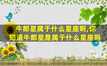 牛郎星属于什么星座啊,你知道牛郎星是属于什么星座吗
