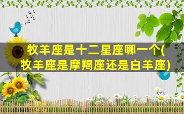 牧羊座是十二星座哪一个(牧羊座是摩羯座还是白羊座)