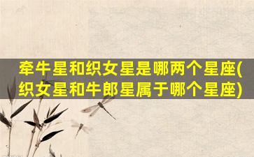 牵牛星和织女星是哪两个星座(织女星和牛郎星属于哪个星座)