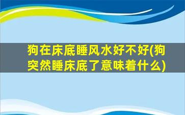 狗在床底睡风水好不好(狗突然睡床底了意味着什么)