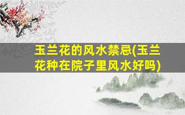 玉兰花的风水禁忌(玉兰花种在院子里风水好吗)