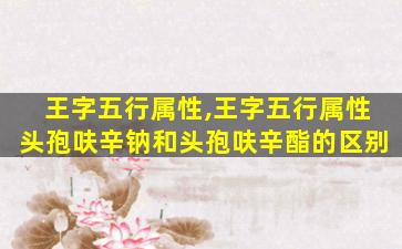 王字五行属性,王字五行属性头孢呋辛钠和头孢呋辛酯的区别