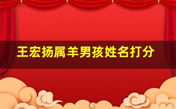 王宏扬属羊男孩姓名打分