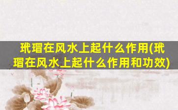 玳瑁在风水上起什么作用(玳瑁在风水上起什么作用和功效)