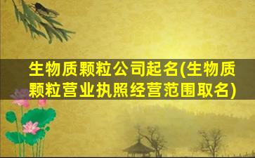 生物质颗粒公司起名(生物质颗粒营业执照经营范围取名)