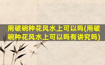 用破碗种花风水上可以吗(用破碗种花风水上可以吗有讲究吗)