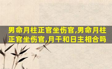 男命月柱正官坐伤官,男命月柱正官坐伤官,月干和日主相合吗
