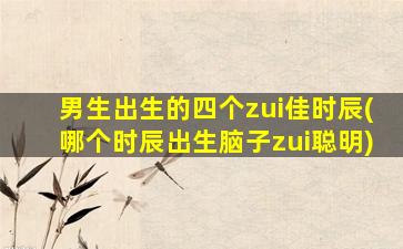 男生出生的四个zui
佳时辰(哪个时辰出生脑子zui
聪明)