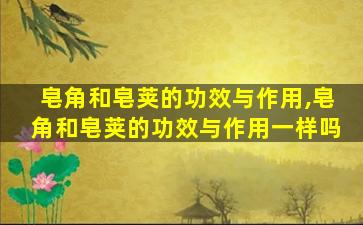 皂角和皂荚的功效与作用,皂角和皂荚的功效与作用一样吗