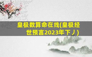 皇极数算命在线(皇极经世预言2023年下丿)