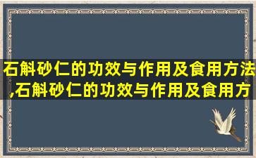 石斛砂仁的功效与作用及食用方法,石斛砂仁的功效与作用及食用方法及禁忌