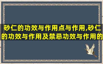 砂仁的功效与作用点与作用,砂仁的功效与作用及禁忌功效与作用的功效